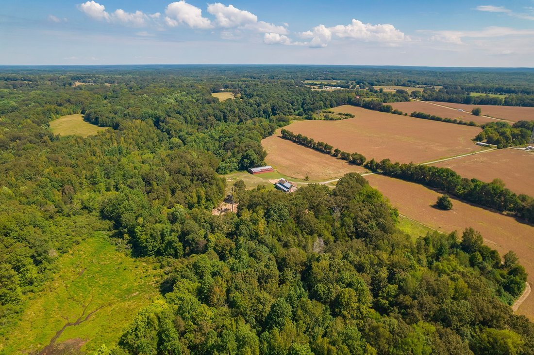 House in Cedar Grove, Tennessee, United States 4 - 16151419