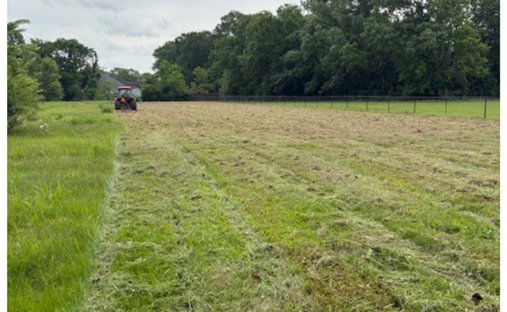 Land in Prairieville, Louisiana, United States 1
