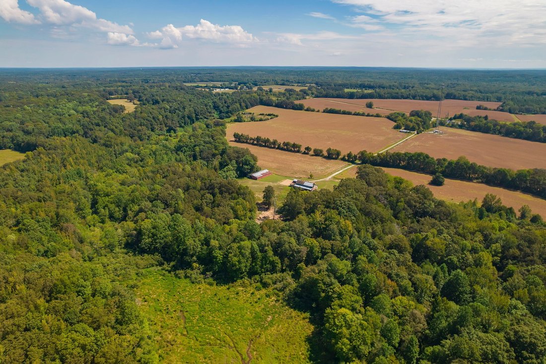 House in Cedar Grove, Tennessee, United States 5 - 16151419
