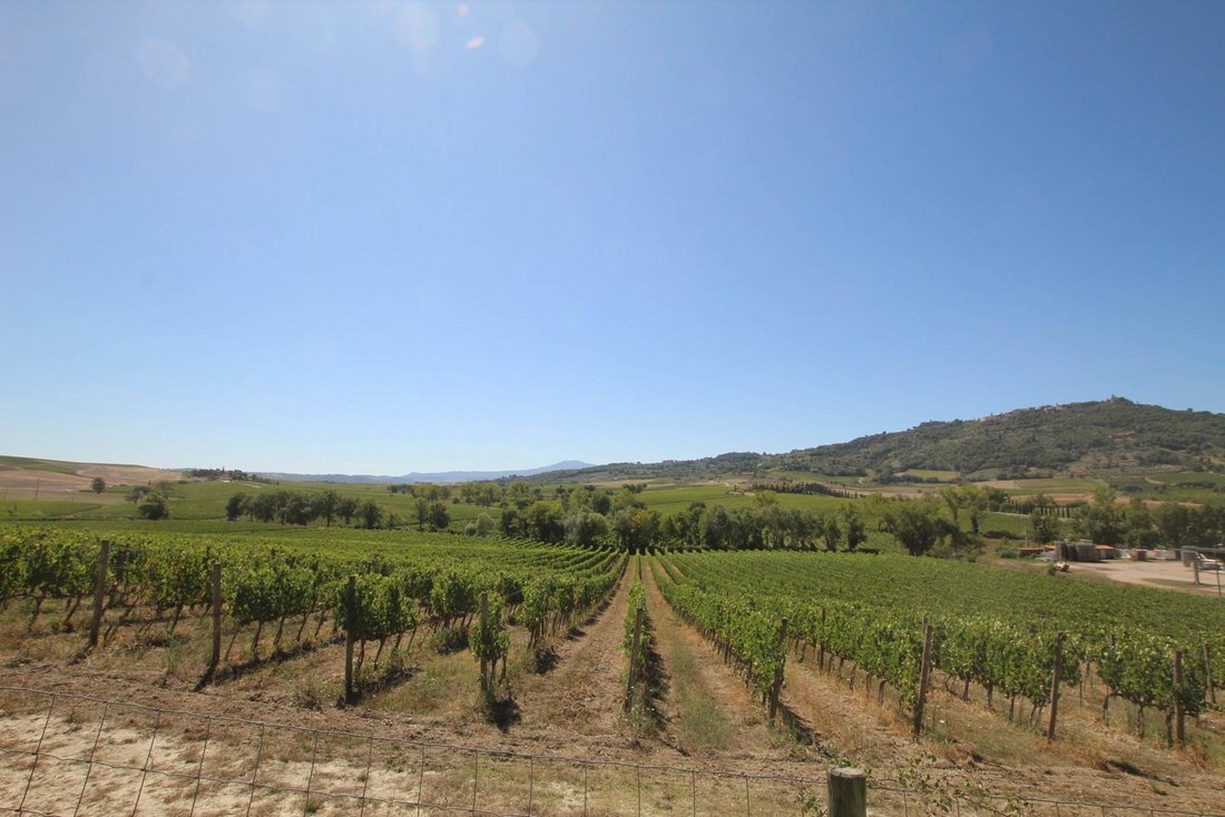 Farm Ranch in Montalcino, Tuscany, Italy 5 - 16154251