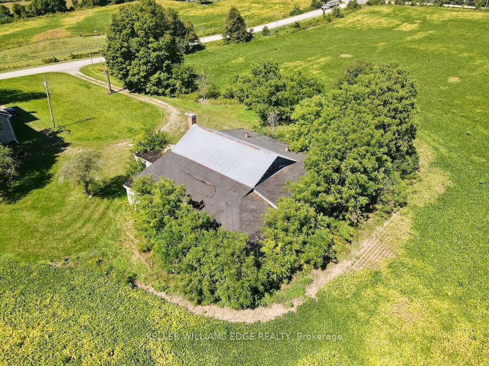 Farm Ranch in Hamilton, Ontario, Canada 5 - 15177126