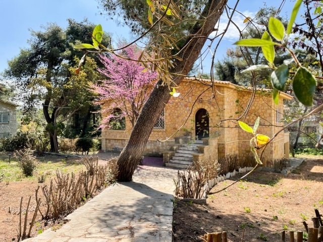 House in Makronisos, Aegean, Greece 2 - 16155382