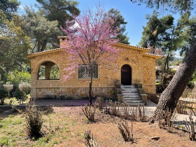 House in Makronisos, Aegean, Greece 1 - 16155382