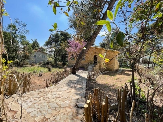 House in Makronisos, Aegean, Greece 4 - 16155382