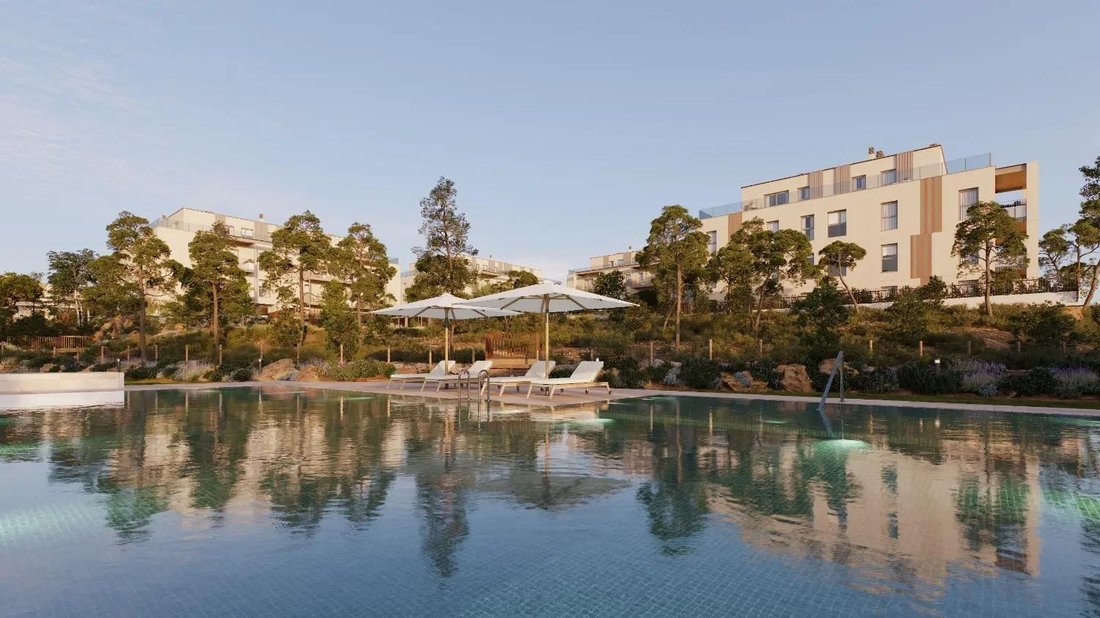 Apartment in Campo Olivar, Godella, Valencian Community 1 - 16151281
