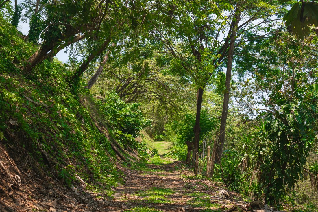 Land in Punta Arenas, Puntarenas Province, Costa Rica 3 - 16157017
