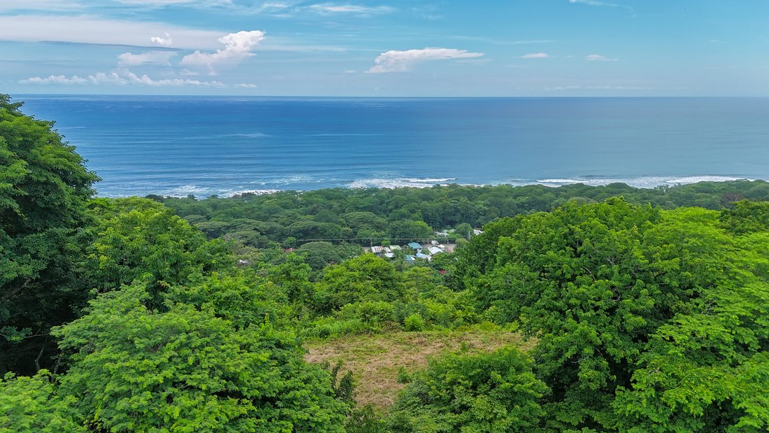 Land in Santa Fe, Puntarenas Province, Costa Rica 1 - 16157043