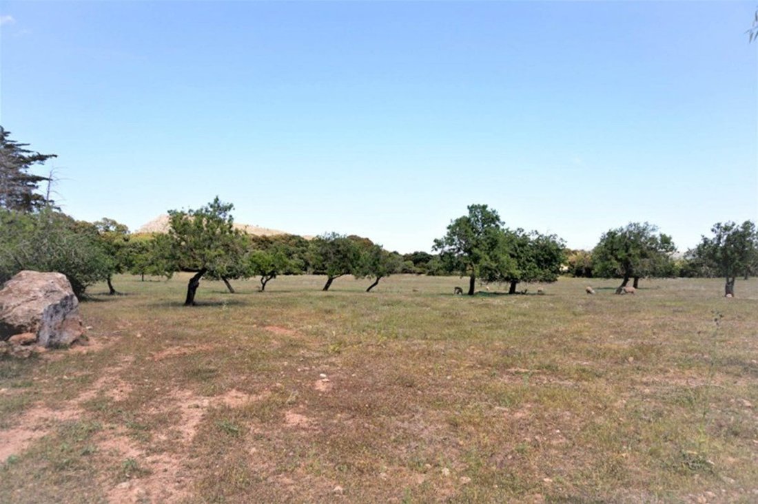 Land in Arta, Balearic Islands, Spain 2 - 16160055