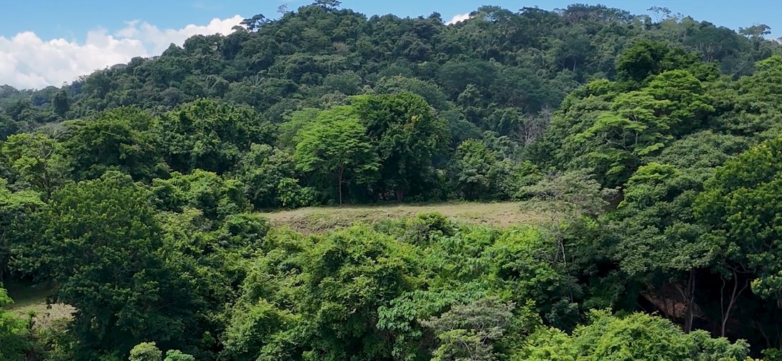 Land in Santa Fe, Puntarenas Province, Costa Rica 2 - 16157043