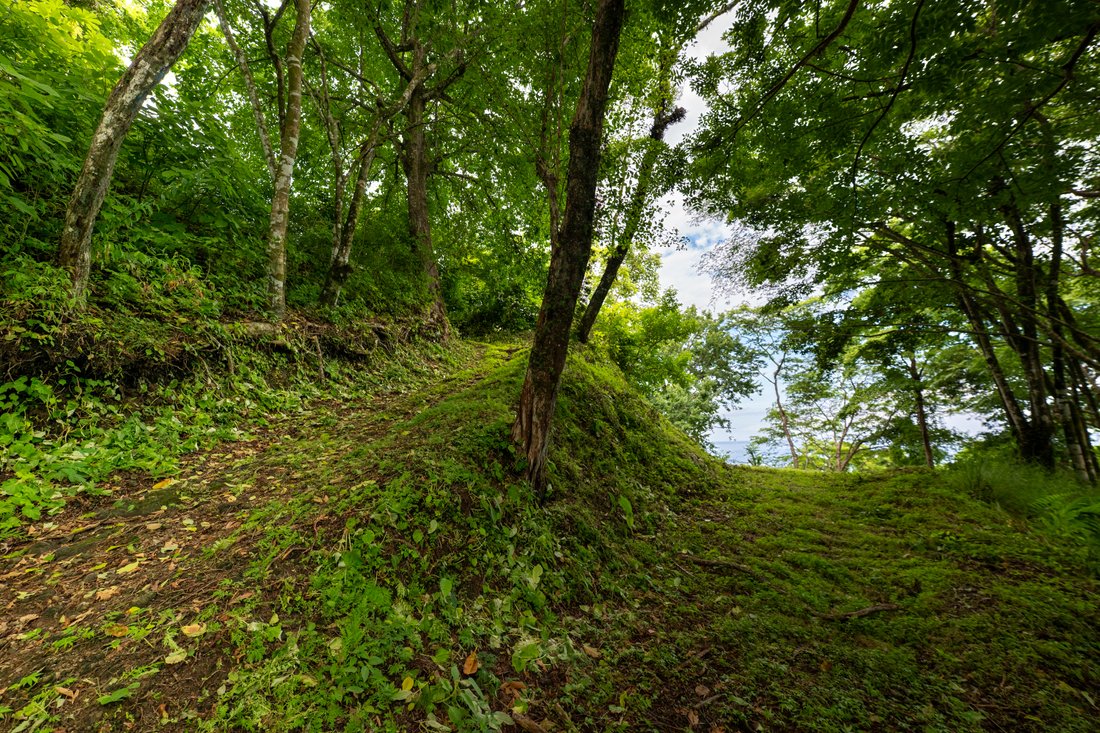Land in Santa Fe, Puntarenas Province, Costa Rica 3 - 16157043