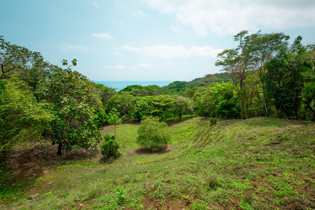 Land in Punta Arenas, Puntarenas Province, Costa Rica 5 - 16157017