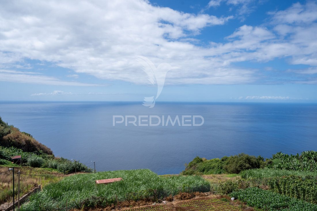 House in Ponta do Sol, Madeira, Portugal 5 - 16157806