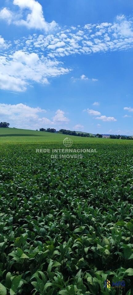 Farm Ranch in Paranapanema, State of São Paulo, Brazil 2 - 16157586