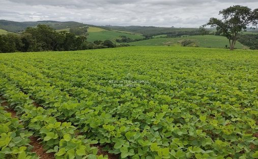 Corps de ferme à Ronco, Paraná, Brésil 1