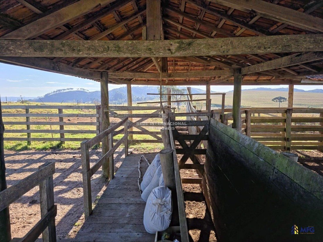 Farm Ranch in Capão Bonito, State of São Paulo, Brazil 5 - 16157338