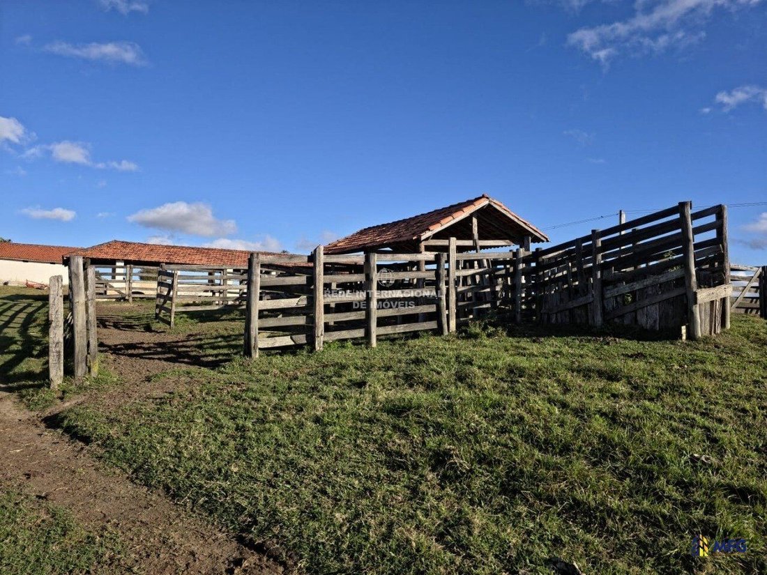 Farm Ranch in Ronco, State of Paraná, Brazil 2 - 16157837