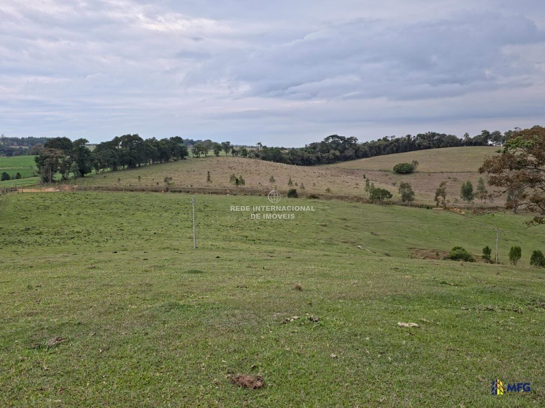 Farm Ranch in Botucatu, State of São Paulo, Brazil 3 - 16157441