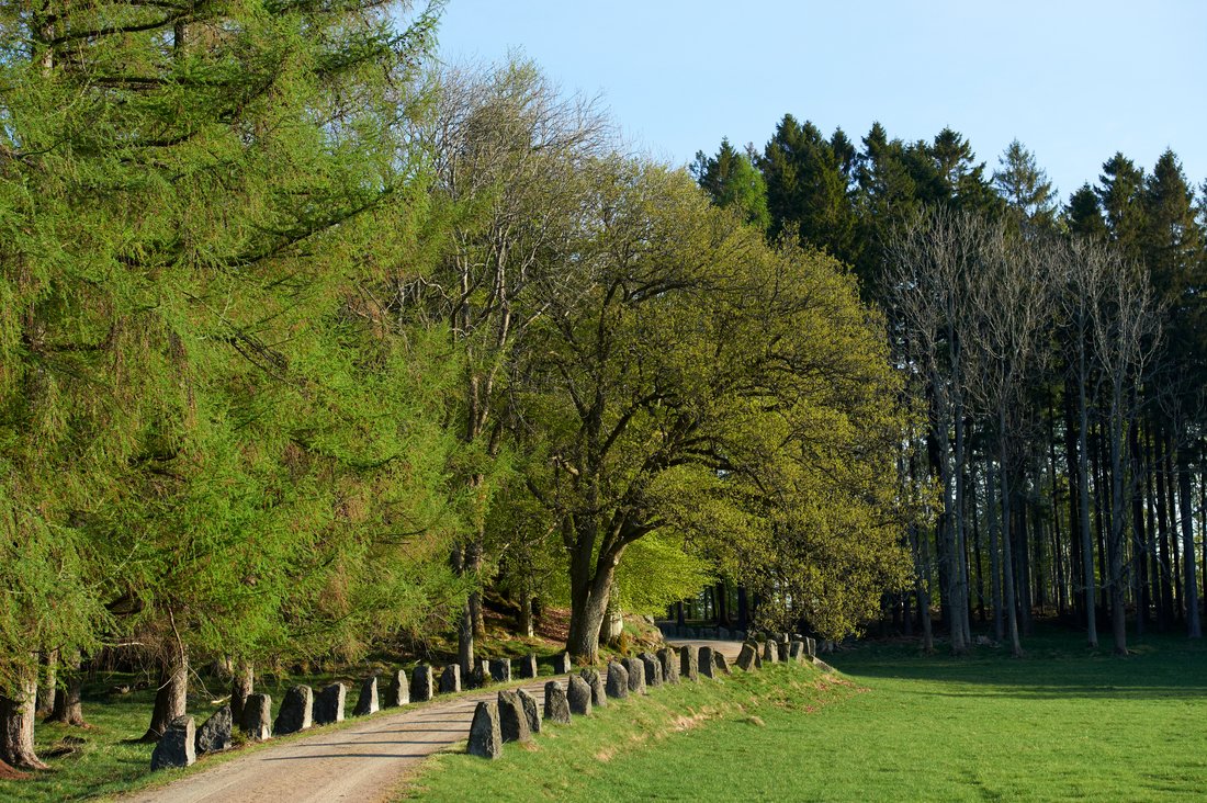 Fritzøehus: Norway’s Crown of Stone, Light & Legacy