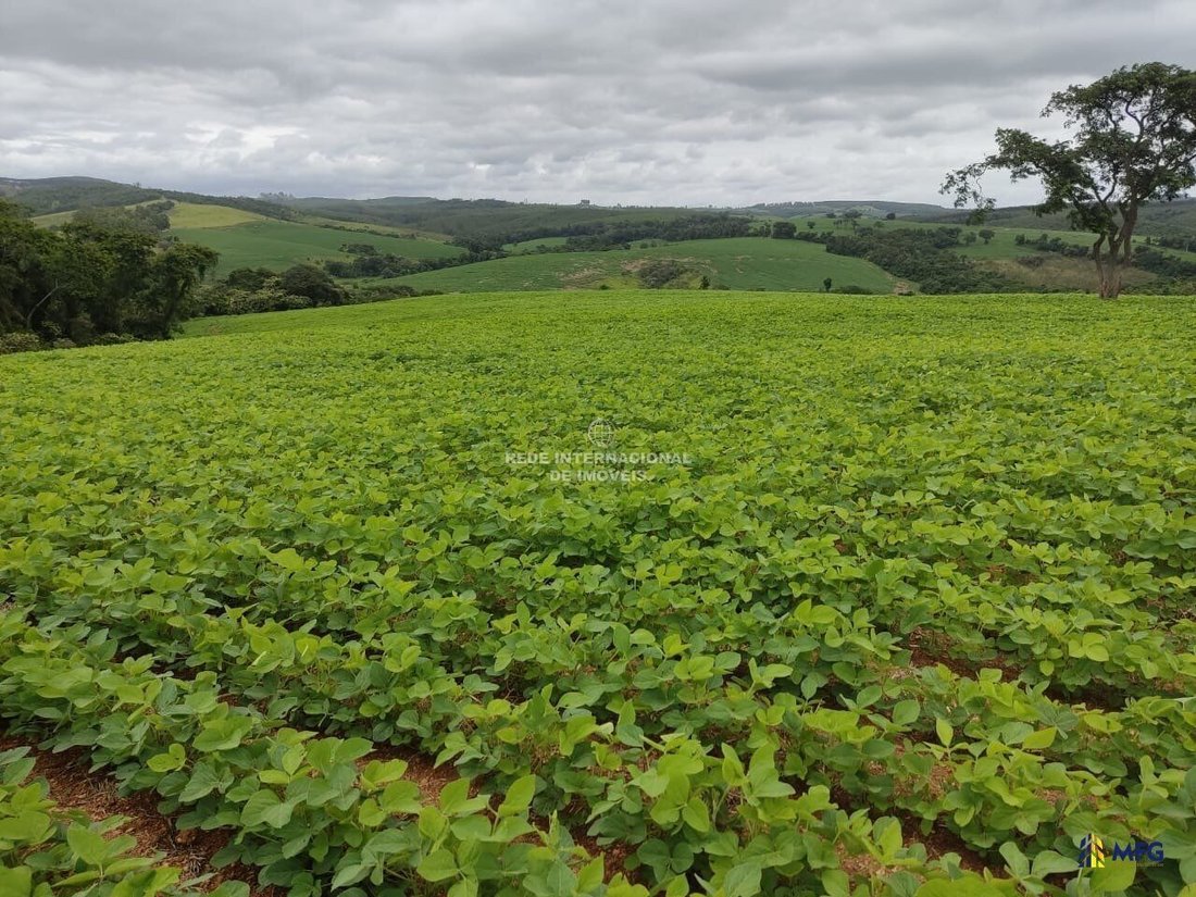 Farm Ranch in Ronco, State of Paraná, Brazil 4 - 16157970