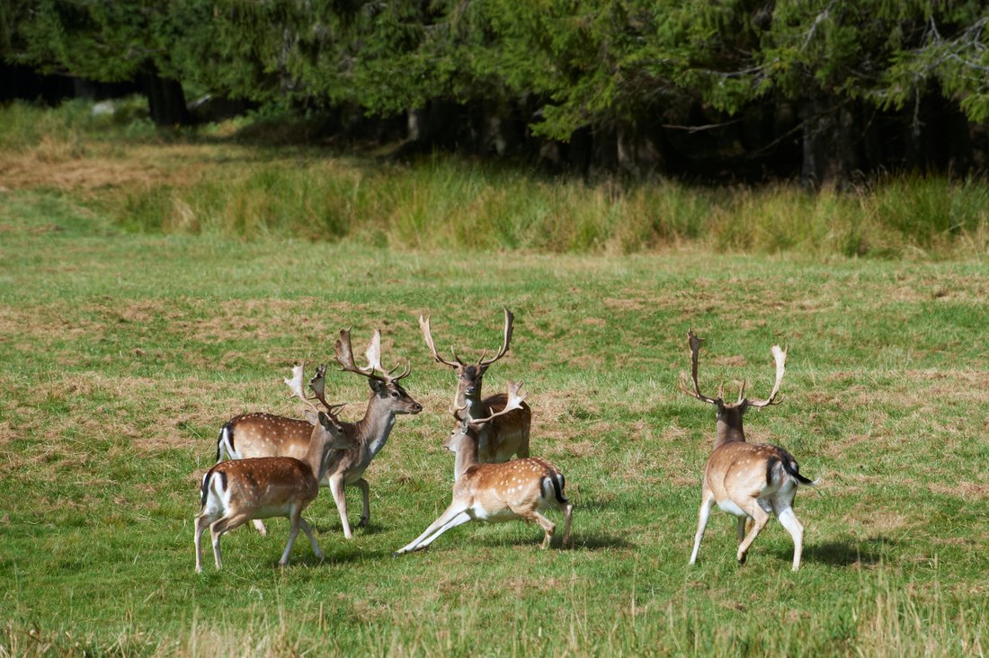Fritzøehus: Norway’s Crown of Stone, Light & Legacy - 5