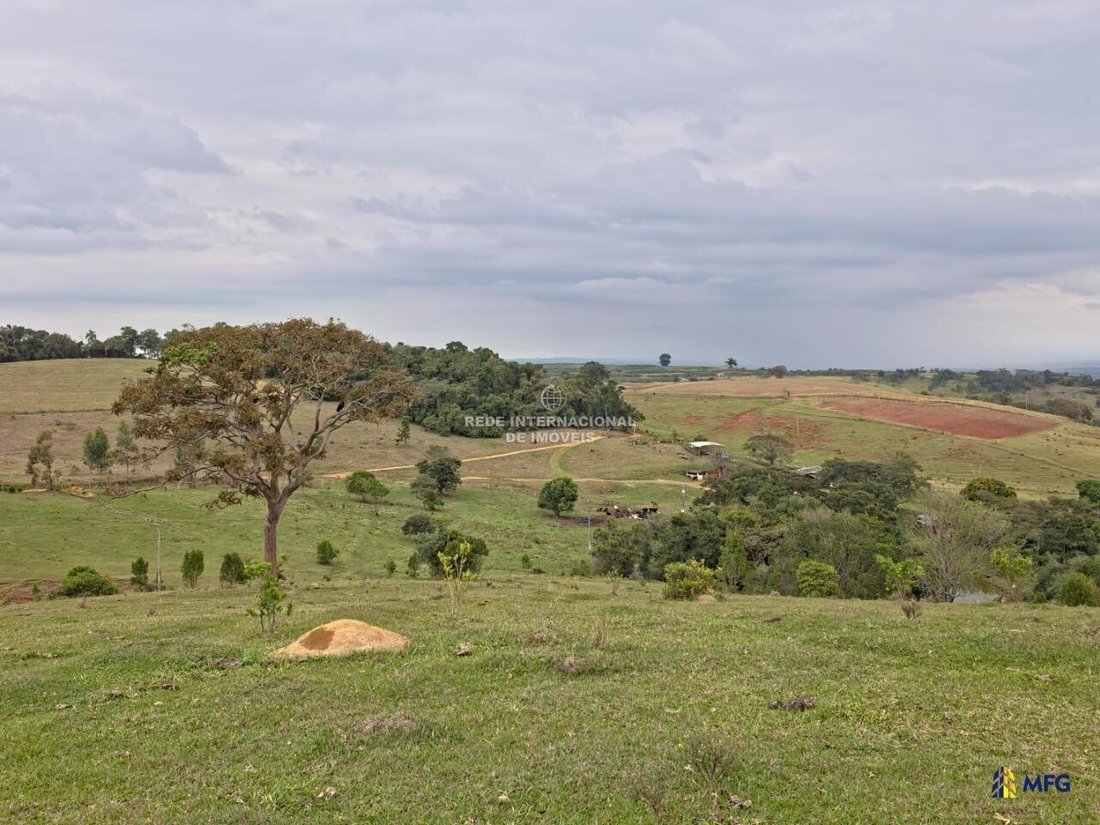 Farm Ranch in Botucatu, State of São Paulo, Brazil 5 - 16157441