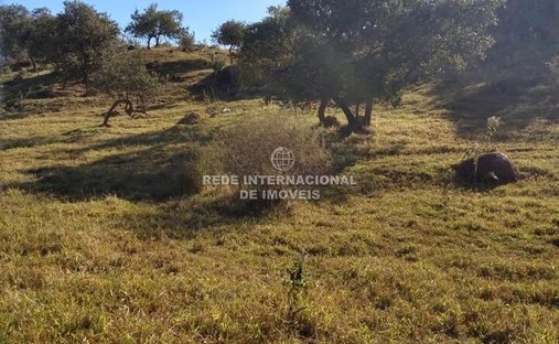 Land in Caputera, State of São Paulo, Brazil 1