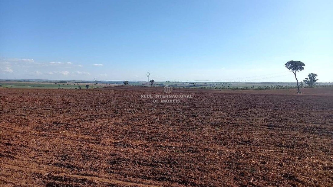 Farm Ranch in Echaporã, State of São Paulo, Brazil 5 - 16156771