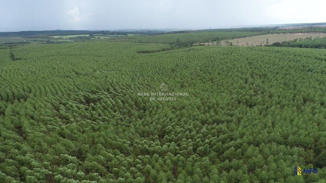 Farm Ranch in Ronco, State of Paraná, Brazil 4 - 16156752
