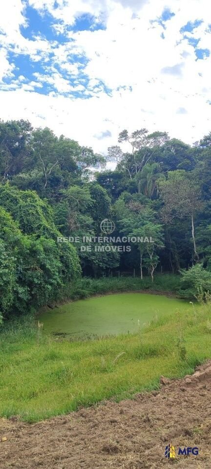 Farm Ranch in Ronco, State of Paraná, Brazil 4 - 16157076
