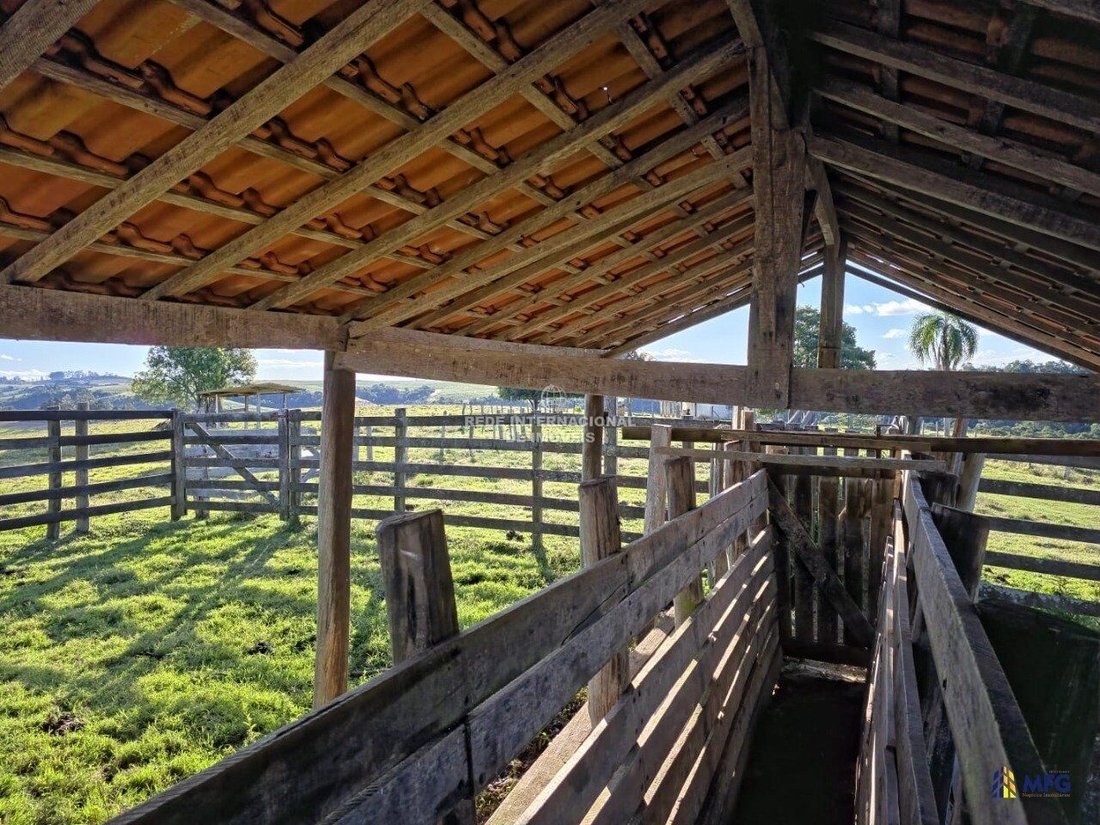Farm Ranch in Ronco, State of Paraná, Brazil 4 - 16157837