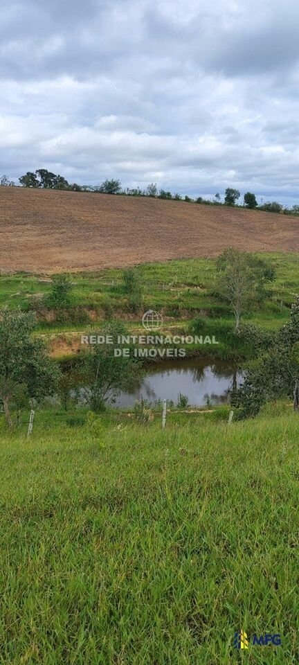 Farm Ranch in Ronco, State of Paraná, Brazil 2 - 16157076
