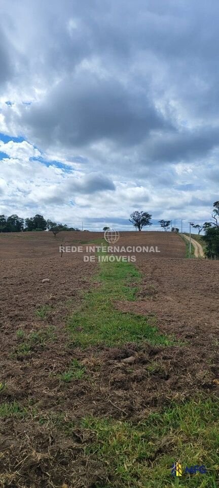 Farm Ranch in Ronco, State of Paraná, Brazil 5 - 16157076
