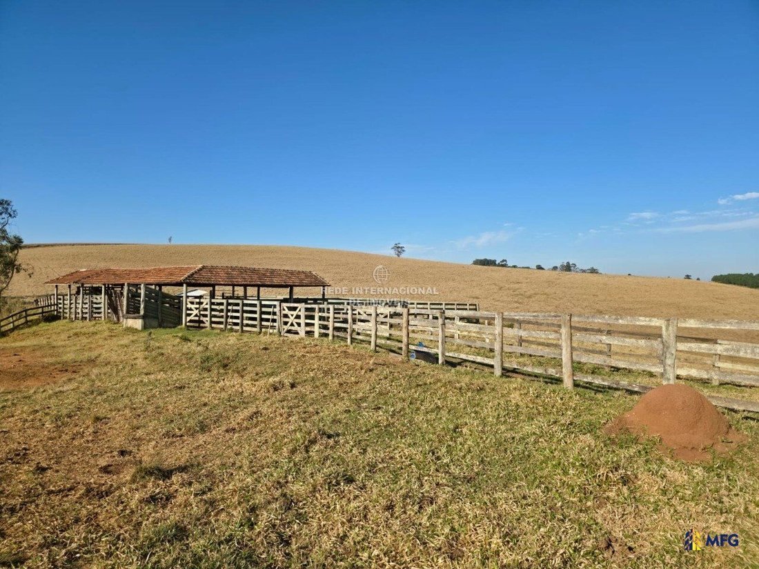 Farm Ranch in Capão Bonito, State of São Paulo, Brazil 1 - 16157338