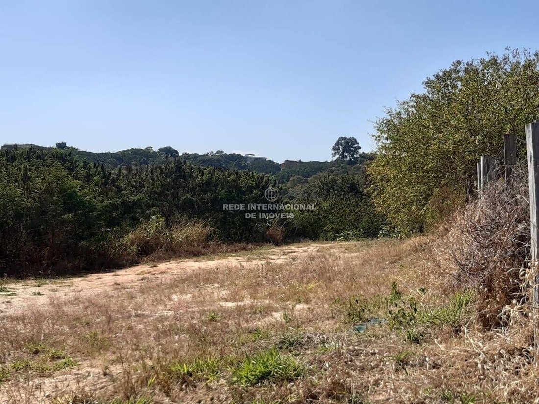 Land in Jardim Leocadia, State of São Paulo, Brazil 5 - 16156822
