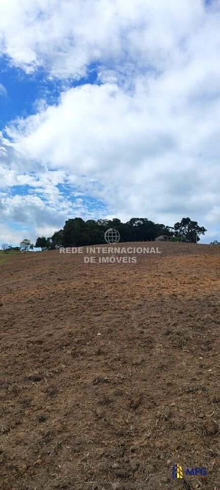 Farm Ranch in Ronco, State of Paraná, Brazil 3 - 16157076