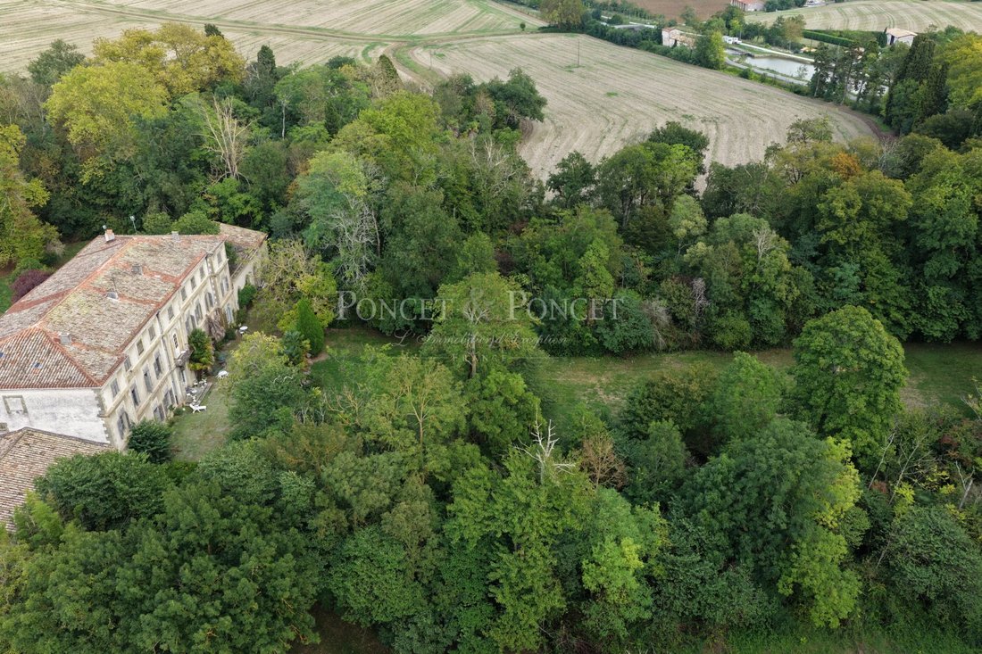 La Belle Endormie: A Canal du Midi Palazzo Awakens in Occitanie