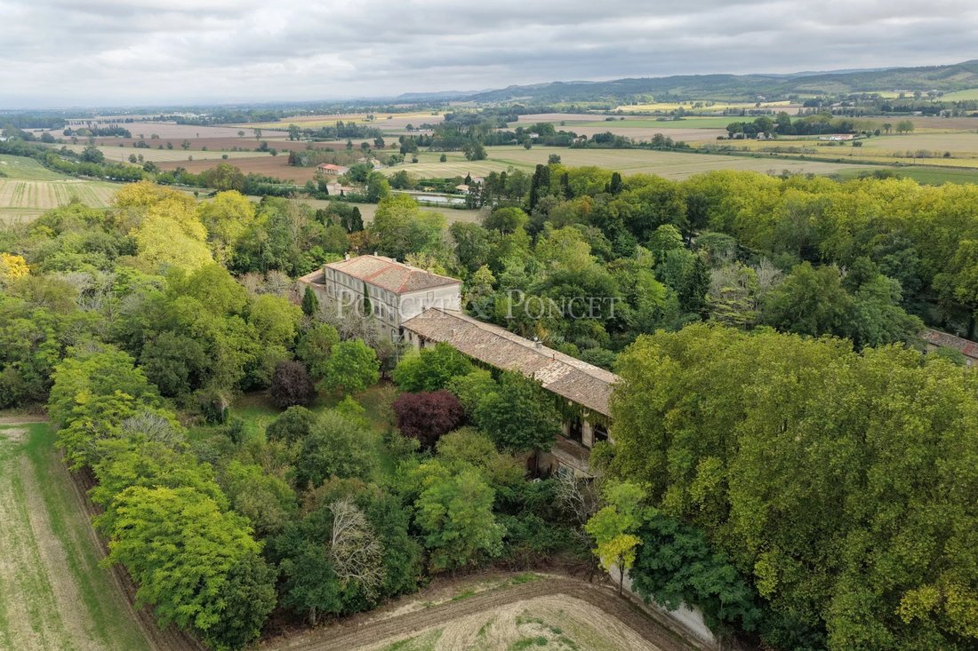 La Belle Endormie: A Canal du Midi Palazzo Awakens in Occitanie