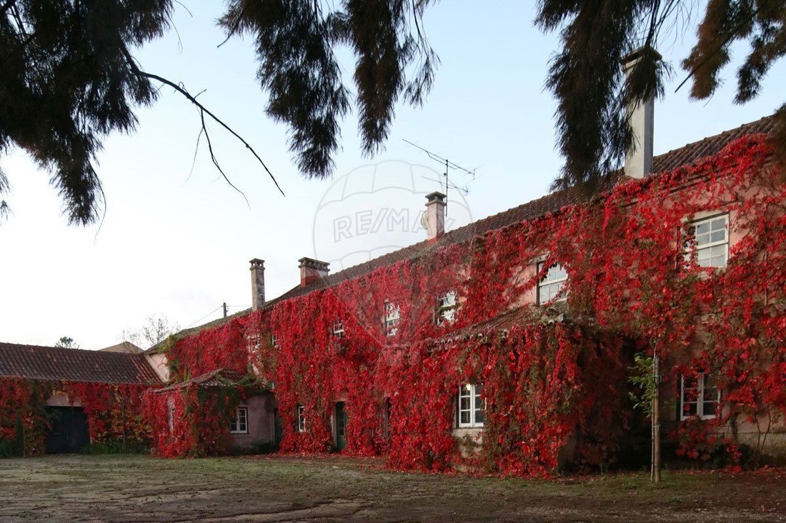 Finca in Maxial, Lisbon, Portugal 3 - 16158839