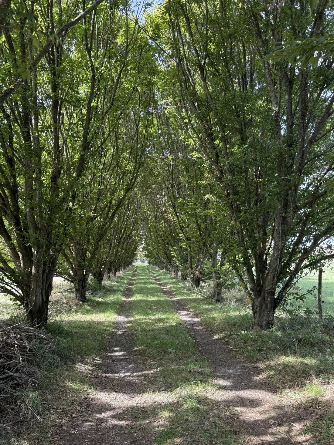 Estate in Le Fousseret, Occitania, France 2 - 16158955
