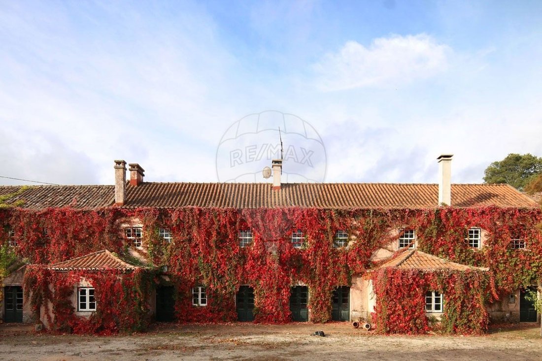 Finca in Maxial, Lisbon, Portugal 1 - 16158839