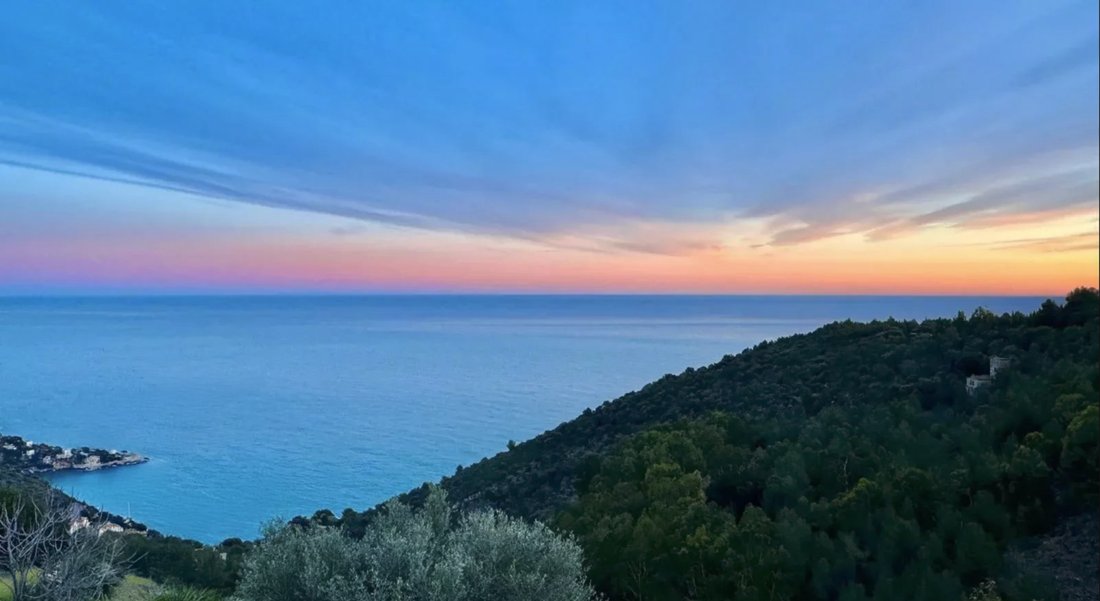 Land in Èze, Provence-Alpes-Côte d'Azur, France 5 - 16158952