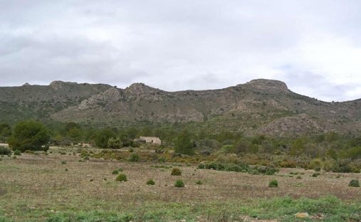 Land in Yecla, Región de Murcia, Spain 1