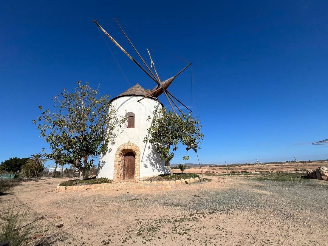 Country House in Torre Pacheco, Región de Murcia, Spain 2 - 16159999