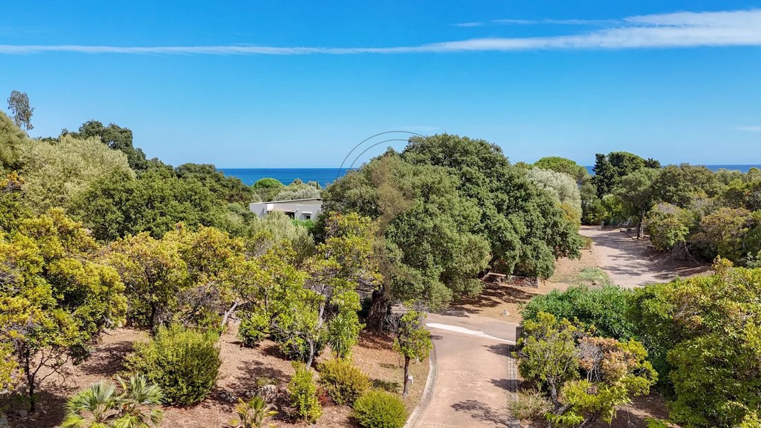 Villa in Porto-Vecchio, Corsica, France 3 - 16158703