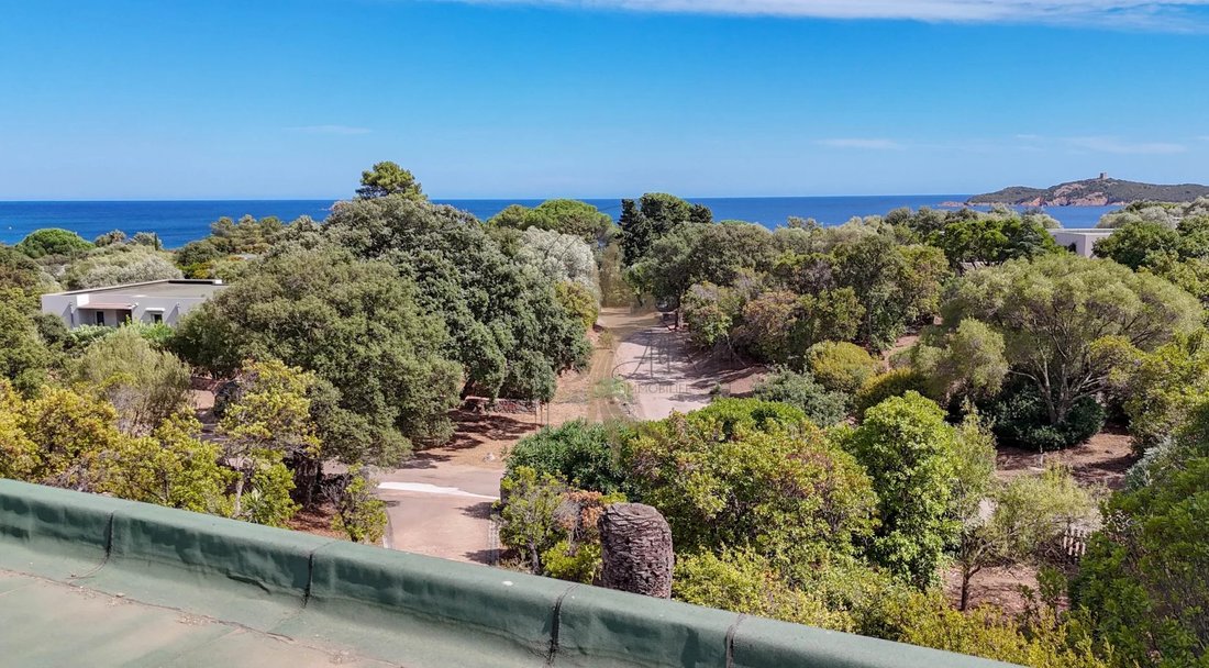 Villa in Porto-Vecchio, Corsica, France 1 - 16158703