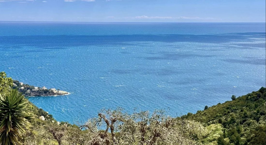 Land in Èze, Provence-Alpes-Côte d'Azur, France 4 - 16158952