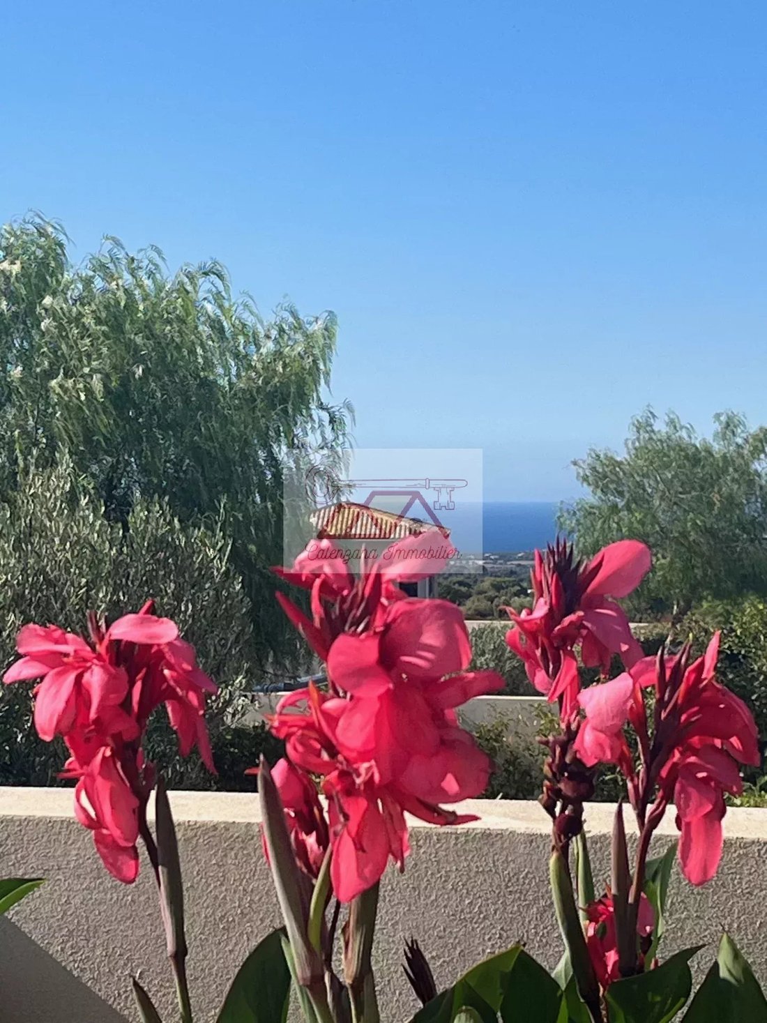 Villa in Calenzana, Corsica, France 3 - 16150853