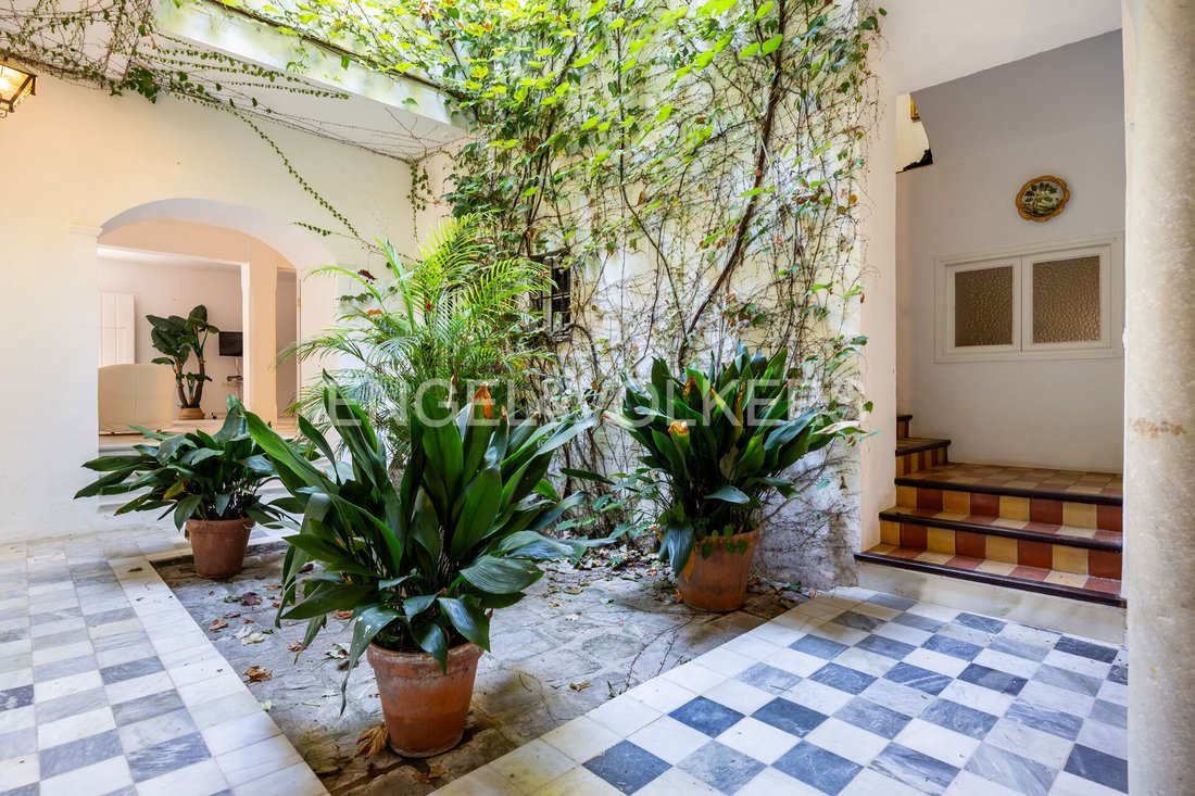 House in Sanlucar de Barrameda, Andalusia, Spain 1 - 16161130
