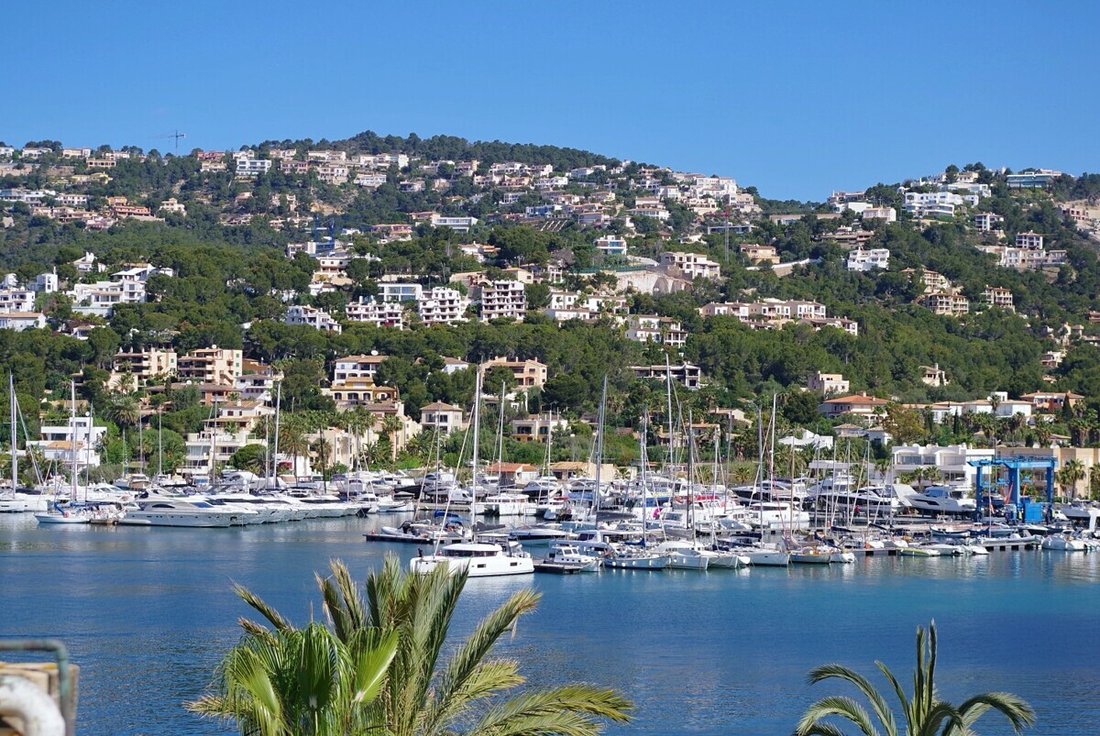 Wohnung in Port d'Andratx, Andratx, Balearische Inseln 2 - 16161092
