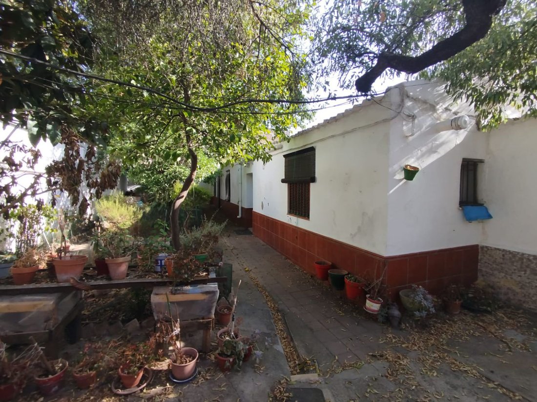 Land in Distrito Bellavista-La Palmera, Seville, Spain 5 - 16163857